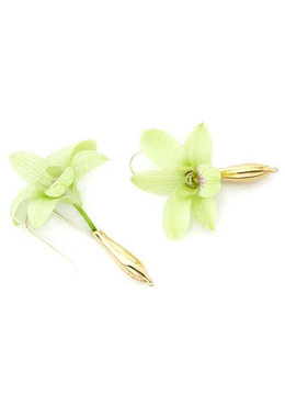 FLEURINGS CLASSIC POLISHED 14KT EARRINGS