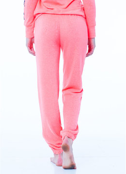 OCEAN DRIVE PALM SPRINGS ANCH PANT clothing active