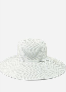 SAN DIEGO HAT CO. LARGE BRIM W/ TICKING accessories hats