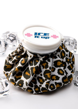 SEXY N SECONDS ICE AID LEOPARD VINT ICE BAG accessories beauty